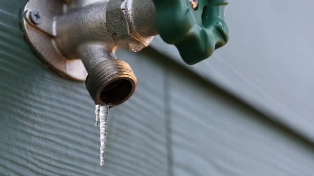 Best Residential Plumbing Services  in Winter Gardens, CA